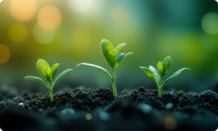 再见2025，拥抱2026